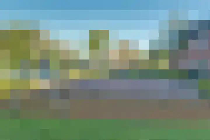 Denarius 24 Elst thumbnail 31