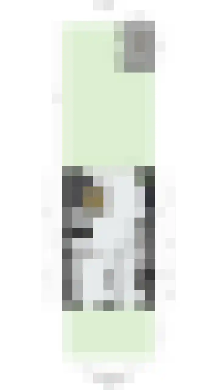 Denarius 24 Elst thumbnail 32