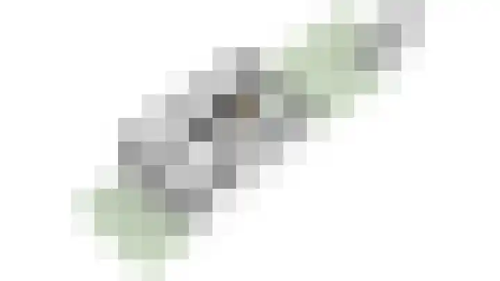 Denarius 24 Elst thumbnail 33