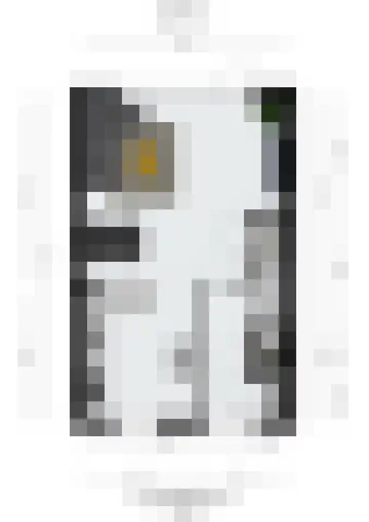 Denarius 24 Elst thumbnail 34
