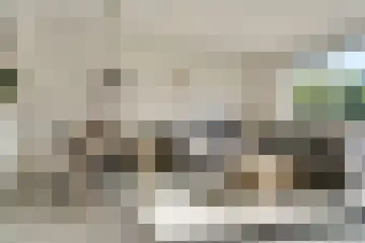 Denarius 24 Elst thumbnail 4