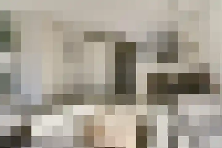 Denarius 24 Elst thumbnail 6