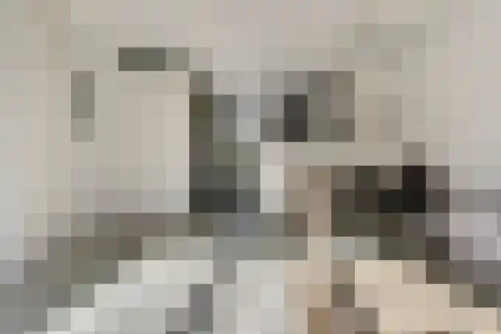 Denarius 24 Elst thumbnail 7