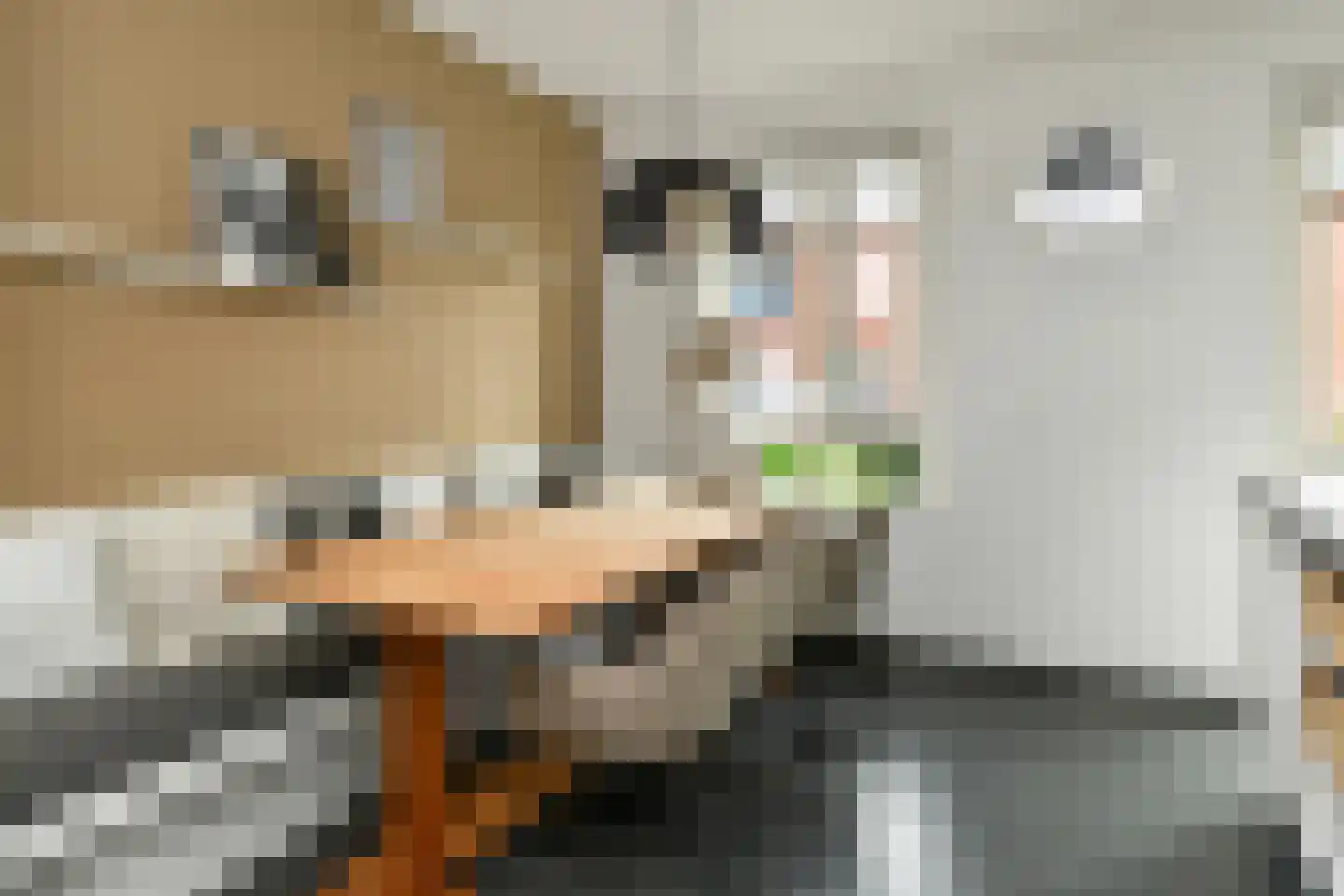 Denarius 33 Elst thumbnail 12