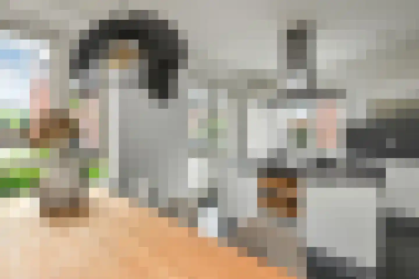 Denarius 33 Elst thumbnail 13