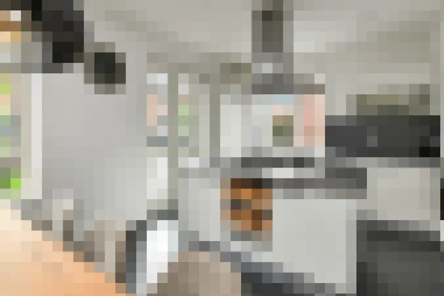Denarius 33 Elst thumbnail 4