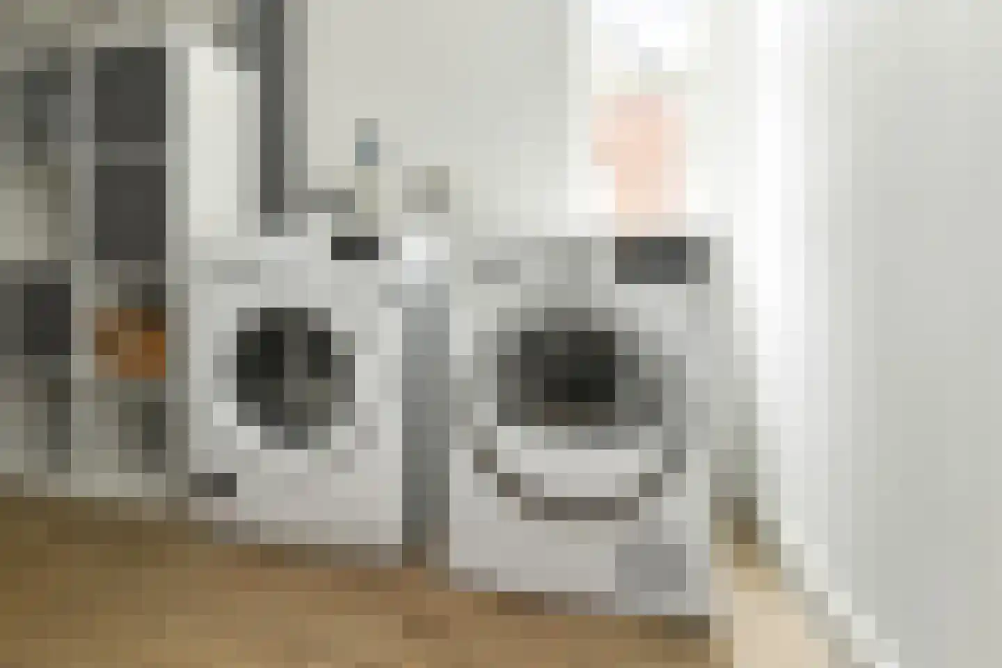 Denarius 33 Elst thumbnail 40