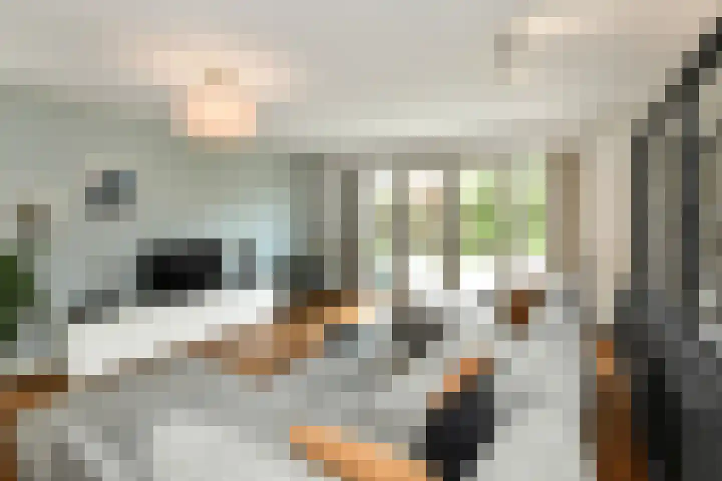 Denarius 33 Elst thumbnail 7