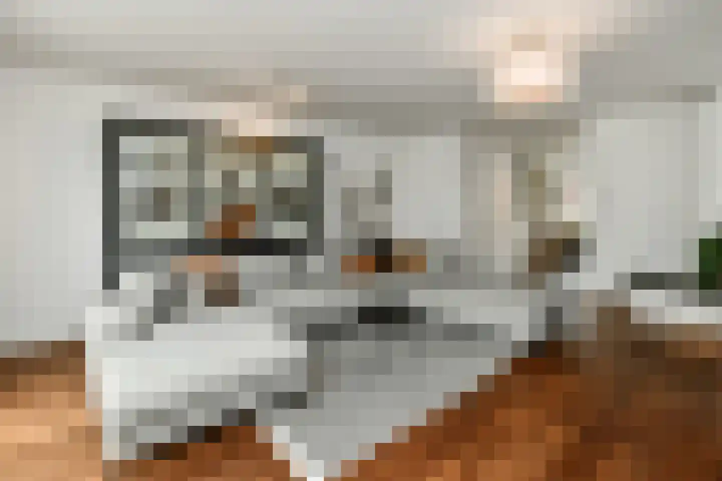 Denarius 33 Elst thumbnail 8