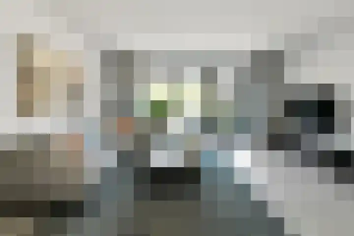Denarius 35 Elst thumbnail 12