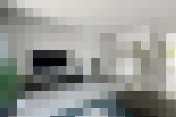 Denarius 35 Elst thumbnail 14