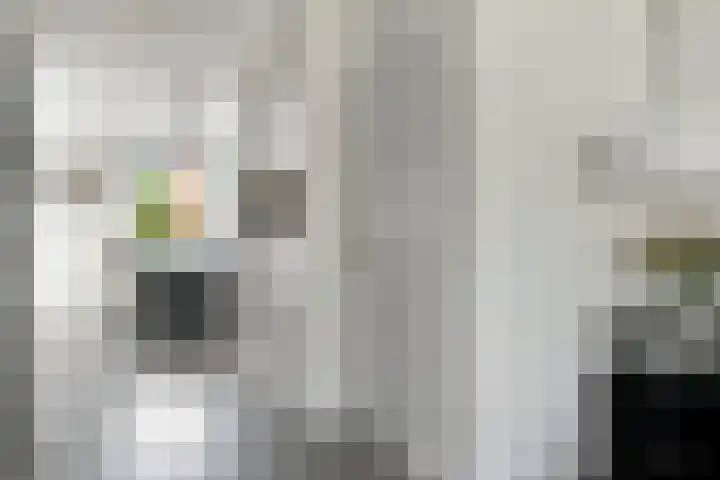 Denarius 35 Elst thumbnail 17