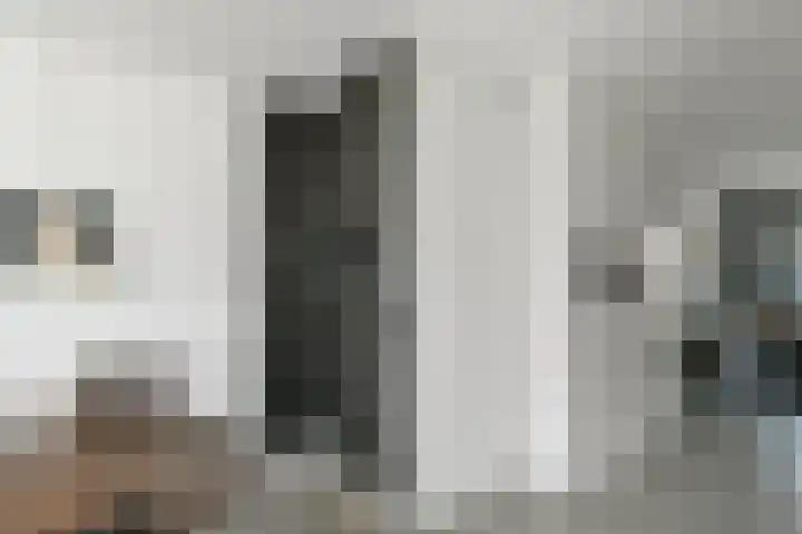 Denarius 35 Elst thumbnail 19