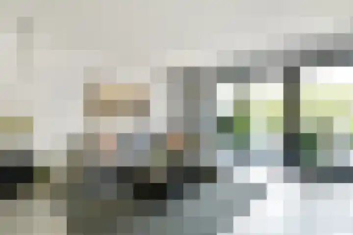 Denarius 35 Elst foto 2