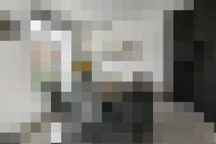 Denarius 35 Elst thumbnail 23