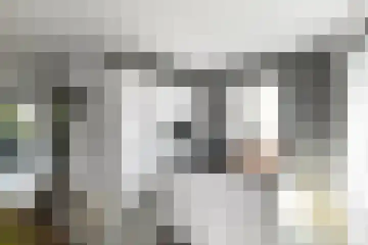 Denarius 35 Elst thumbnail 24