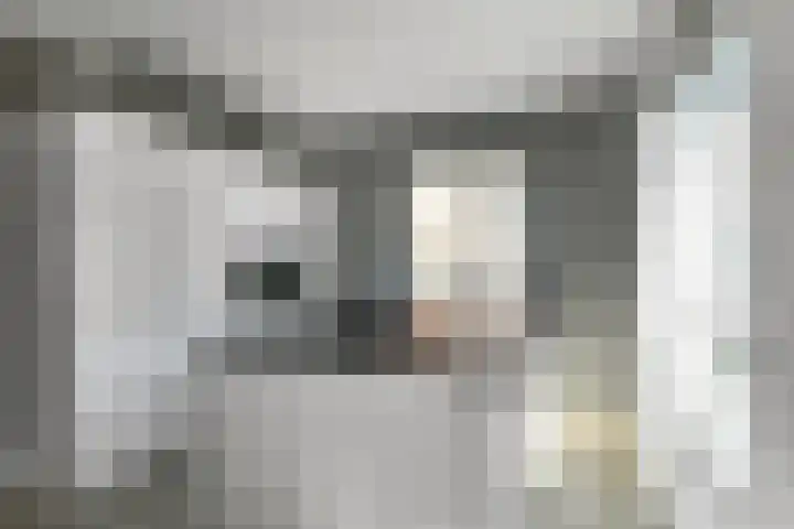 Denarius 35 Elst thumbnail 25