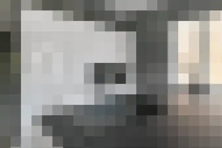 Denarius 35 Elst thumbnail 26