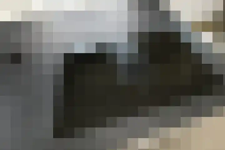 Denarius 35 Elst thumbnail 29