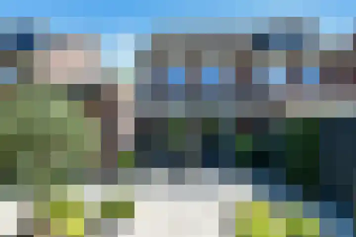 Denarius 35 Elst foto 3