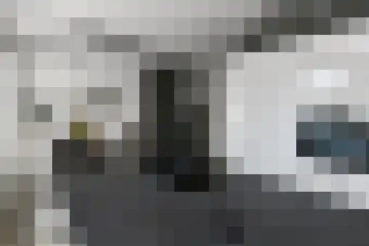 Denarius 35 Elst thumbnail 30