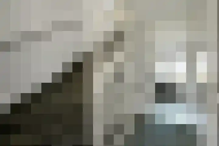 Denarius 35 Elst thumbnail 32