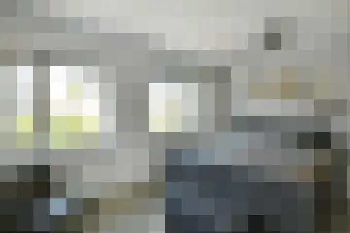 Denarius 35 Elst thumbnail 33