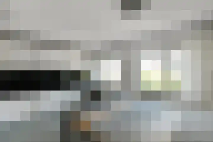 Denarius 35 Elst thumbnail 35