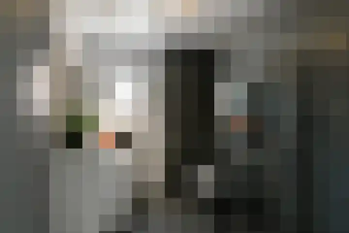 Denarius 35 Elst thumbnail 39