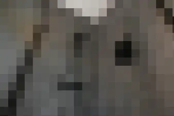 Denarius 35 Elst thumbnail 43