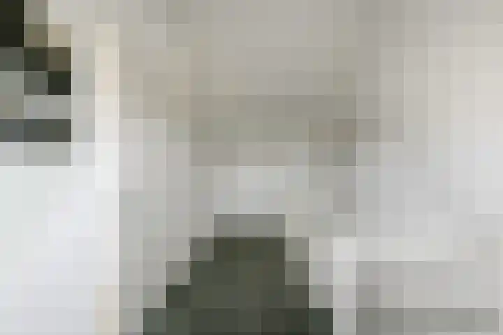 Denarius 35 Elst thumbnail 45