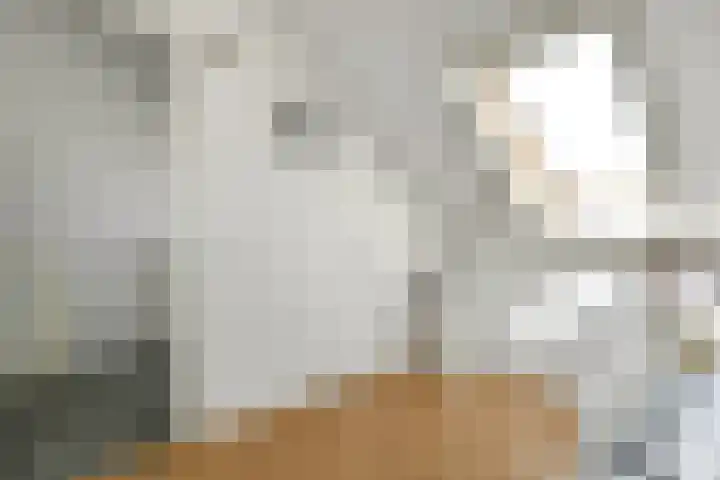 Denarius 35 Elst thumbnail 47