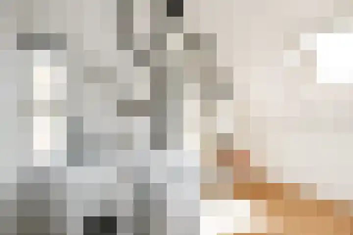 Denarius 35 Elst thumbnail 48