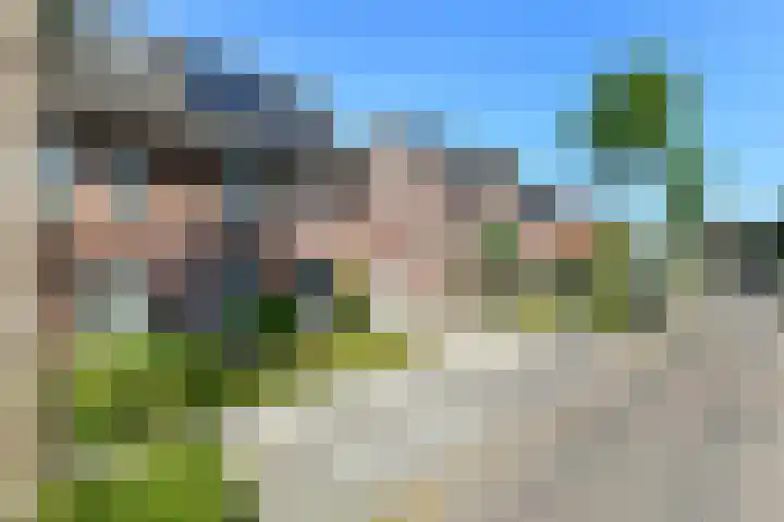 Denarius 35 Elst thumbnail 5