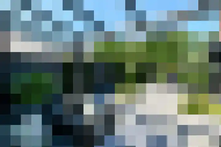 Denarius 35 Elst thumbnail 51