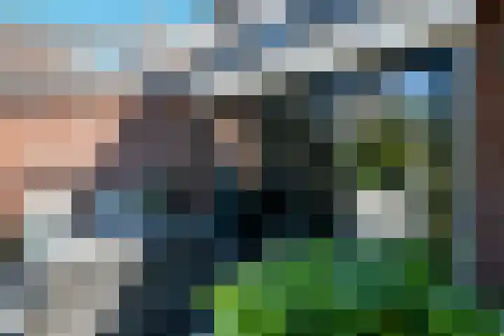 Denarius 35 Elst thumbnail 52