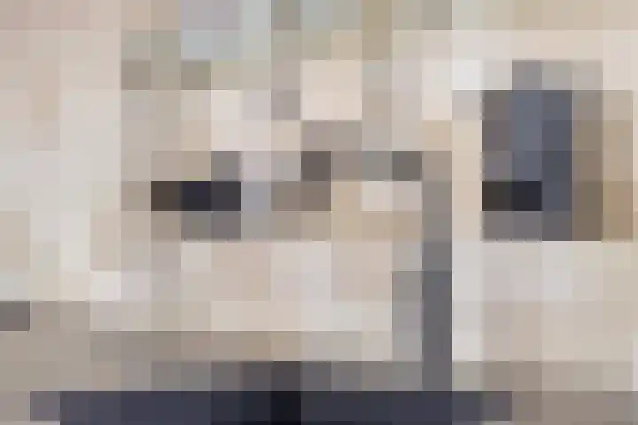 Denarius 35 Elst thumbnail 55