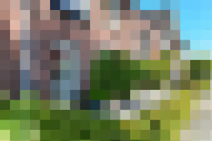 Denarius 35 Elst thumbnail 8