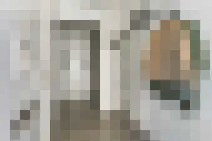 Denarius 35 Elst thumbnail 9