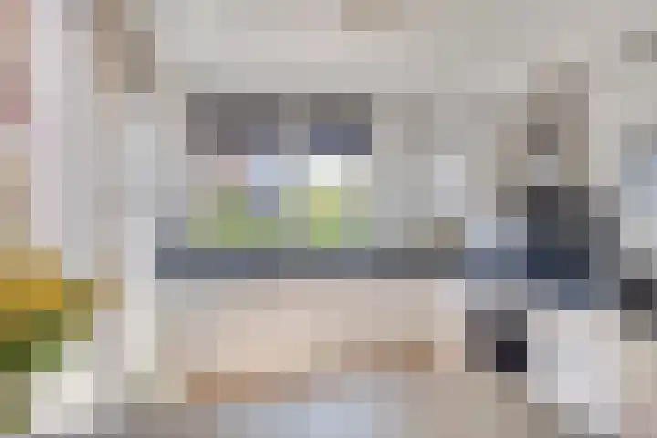 Denarius 38 Elst thumbnail 14