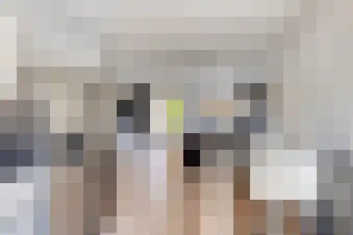 Denarius 38 Elst thumbnail 15
