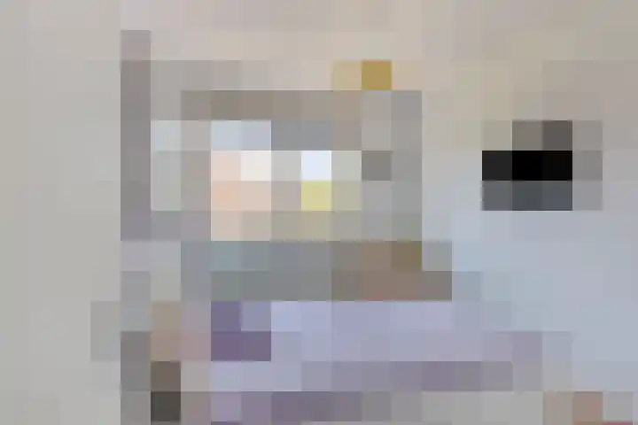 Denarius 38 Elst thumbnail 21