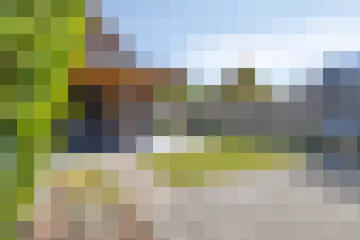 Denarius 38 Elst thumbnail 31