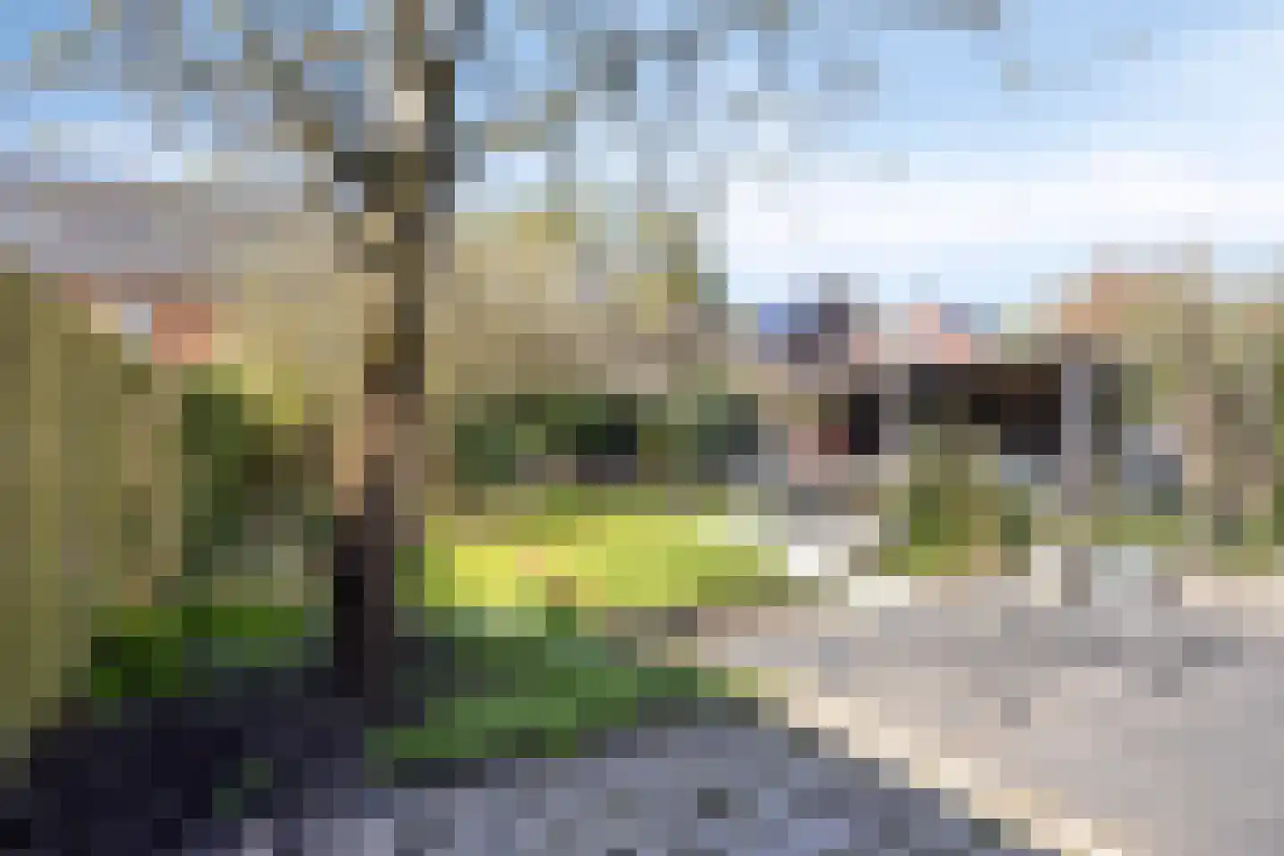 Denarius 55 Elst thumbnail 31