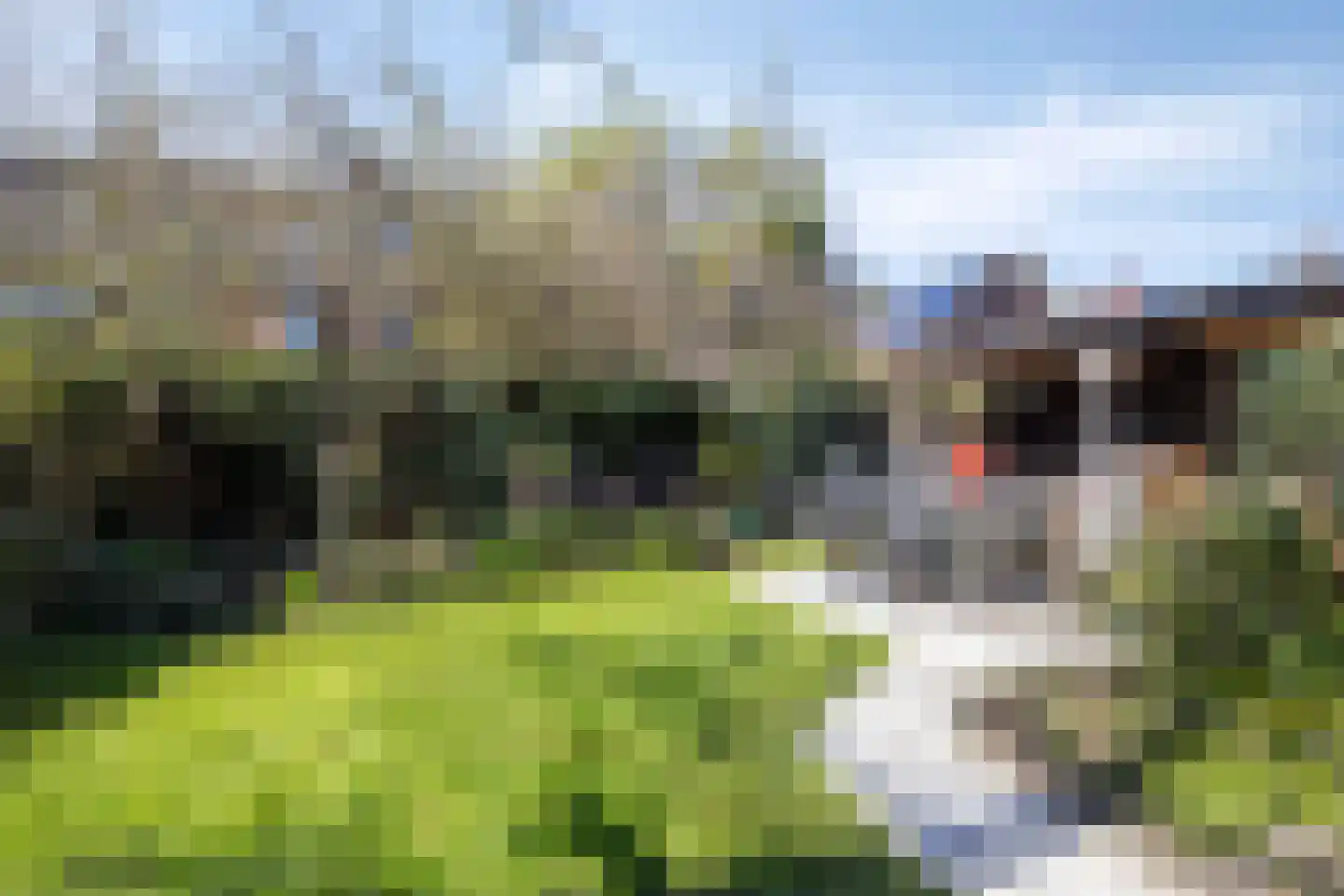 Denarius 55 Elst thumbnail 33