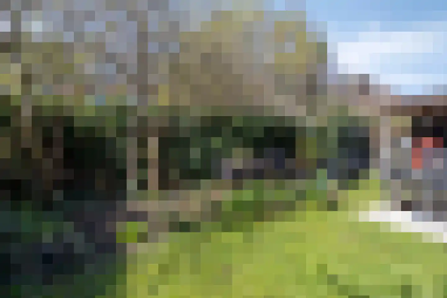 Denarius 55 Elst thumbnail 35