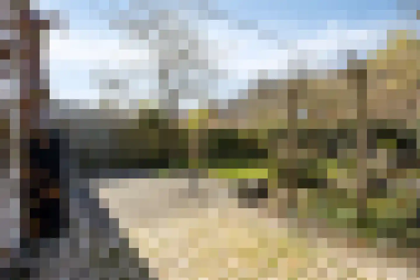 Denarius 55 Elst thumbnail 39