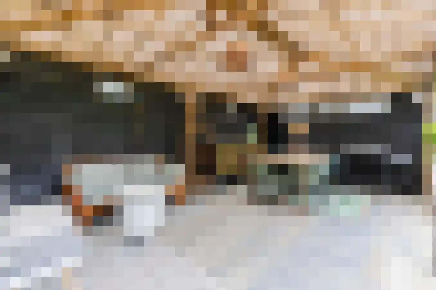 Denarius 7 Odijk thumbnail 46