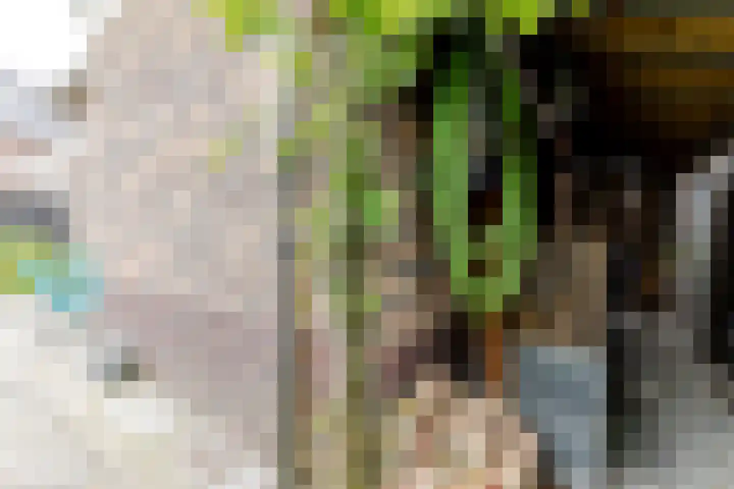 Denarius 7 Odijk thumbnail 51