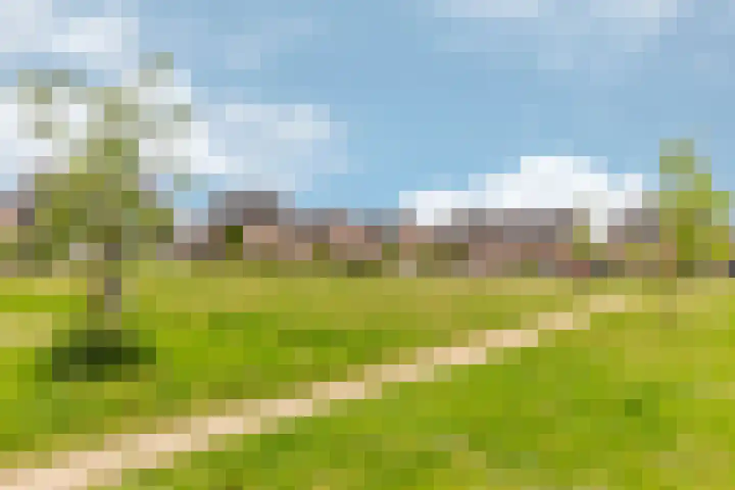 Denarius 7 Odijk thumbnail 56